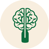 Mental Health Today Logo